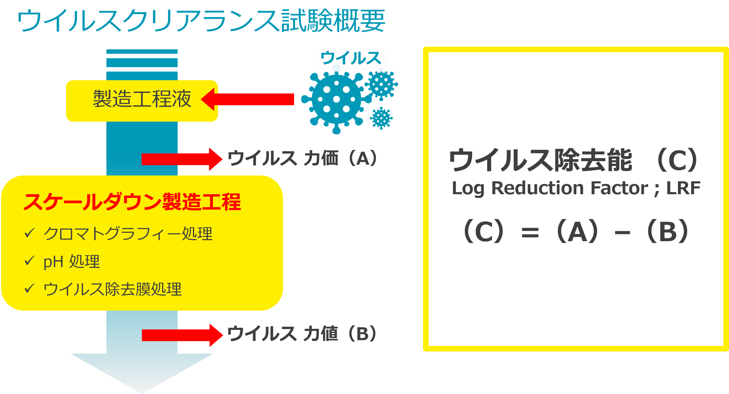 ウイルスクリアランス概要