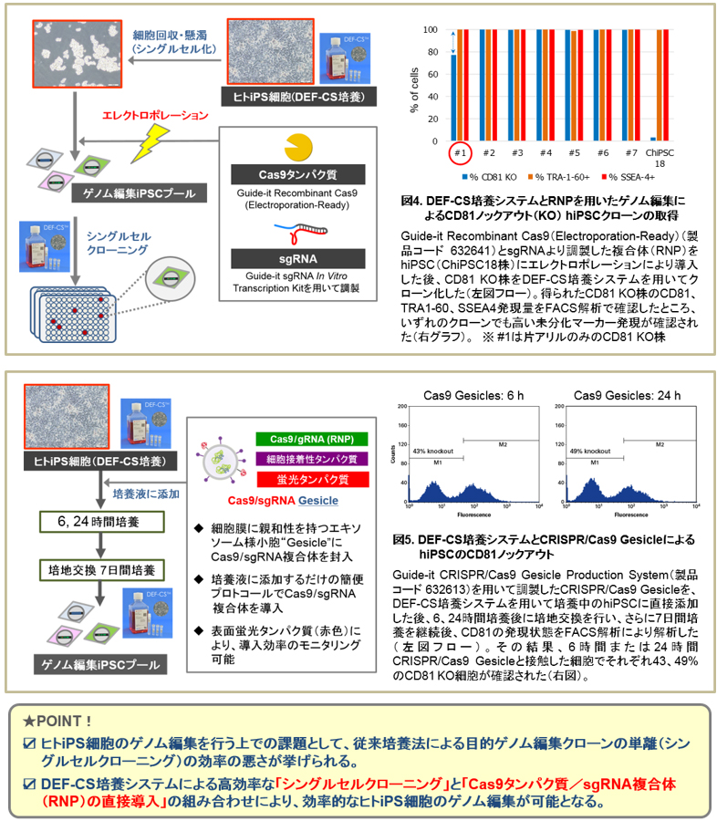 hiPSCを対象としたゲノム編集