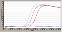 リアルタイムPCR増幅曲線