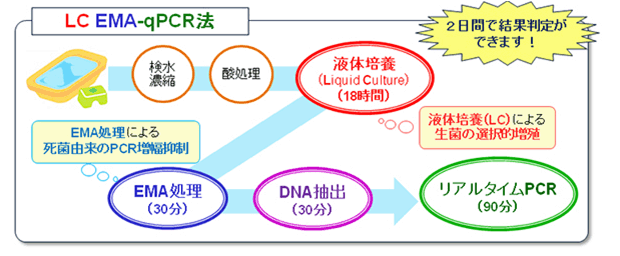 LC EMA-qPCR法