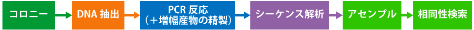 微生物推定解析の流れ