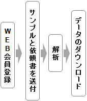 プレミックスシーケンス解析受託サービス流れ