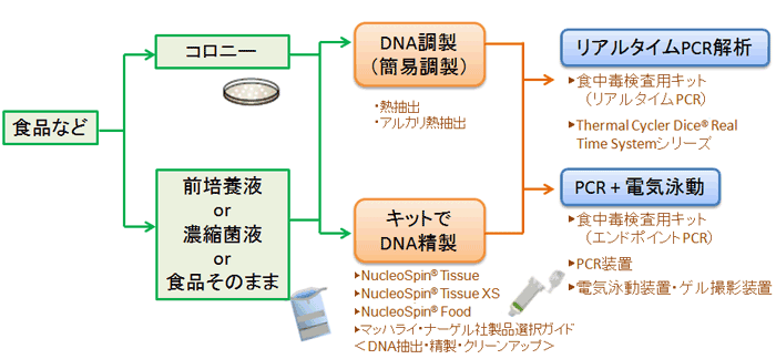 食中毒菌検査の流れ