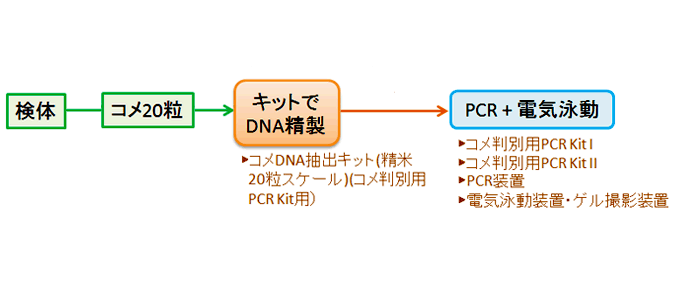 コメ品種判別検査