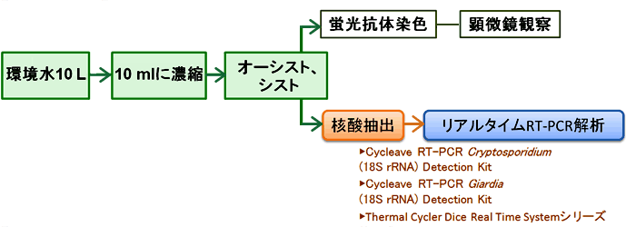 クリプトスポリジウム・ジアルジア検査