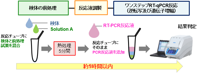 新型コロナウイルス（SARS-CoV-2）の検出