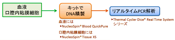 Aldehyde dehydrogenase-2遺伝子のSNP Typing