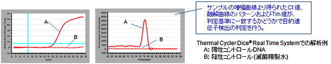 インターカレーター法のリアルタイムPCR試薬解析結果