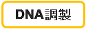 DNA調製