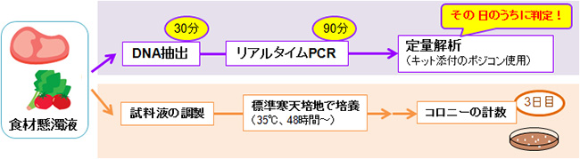 一般細菌数の定量