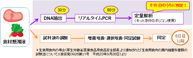 腸内細菌科菌群の検出・定量