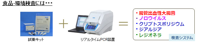 検査装置