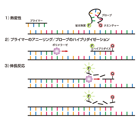 プローブ法原理