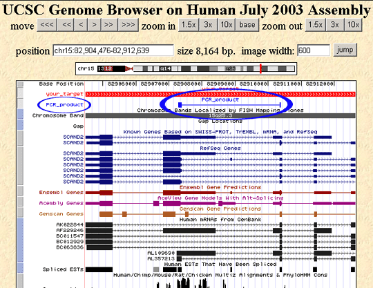 UCSC Genome Browser画面